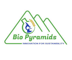                               شركة بايوبراميدز
                            